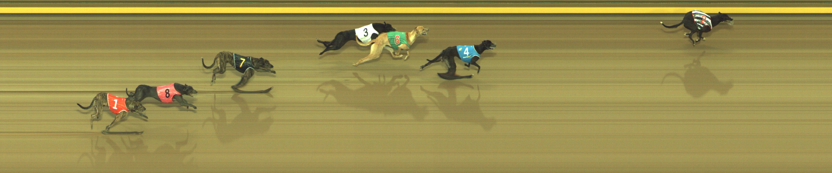 Race result finish photo